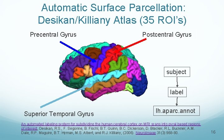 Automatic Surface Parcellation: Desikan/Killiany Atlas (35 ROI’s) Precentral Gyrus Postcentral Gyrus subject label Superior