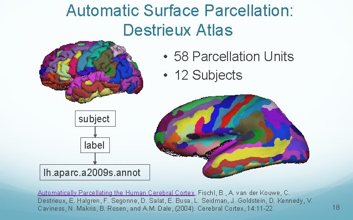 Automatic Surface Parcellation: Destrieux Atlas • 58 Parcellation Units • 12 Subjects subject label