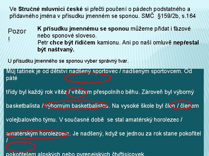 Ve Stručné mluvnici české si přečti poučení o pádech podstatného a přídavného jména v