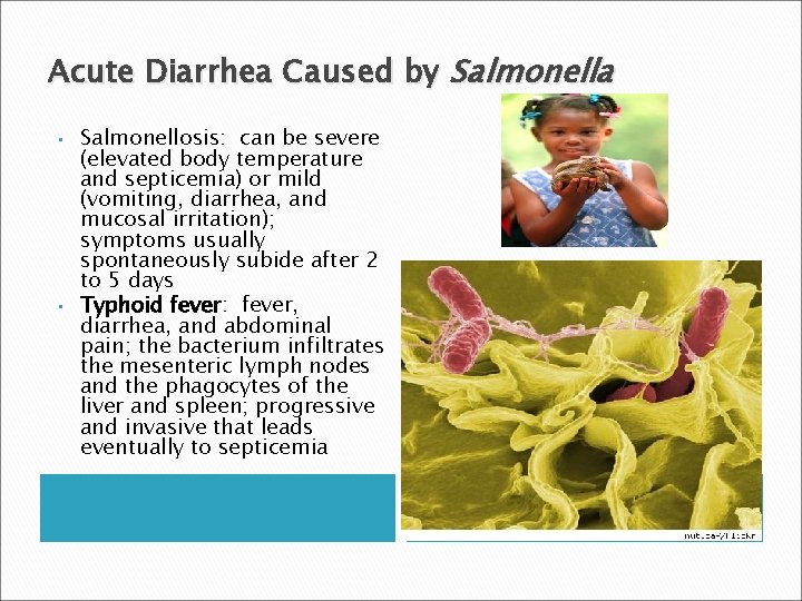 Acute Diarrhea Caused by Salmonella • • Salmonellosis: can be severe (elevated body temperature