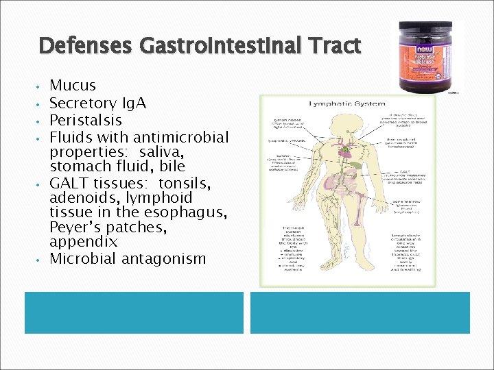 Defenses Gastrointestinal Tract • • • Mucus Secretory Ig. A Peristalsis Fluids with antimicrobial