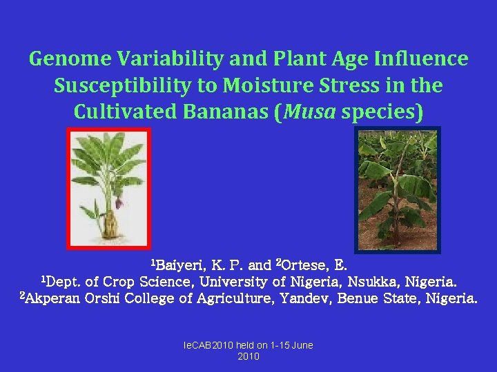 Genome Variability and Plant Age Influence Susceptibility to Moisture Stress in the Cultivated Bananas