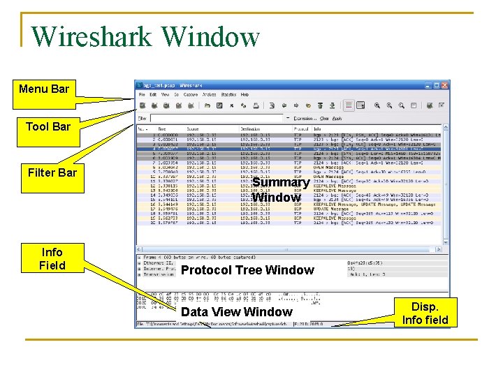 Wireshark Window Menu Bar Tool Bar Filter Bar Info Field Summary Window Protocol Tree