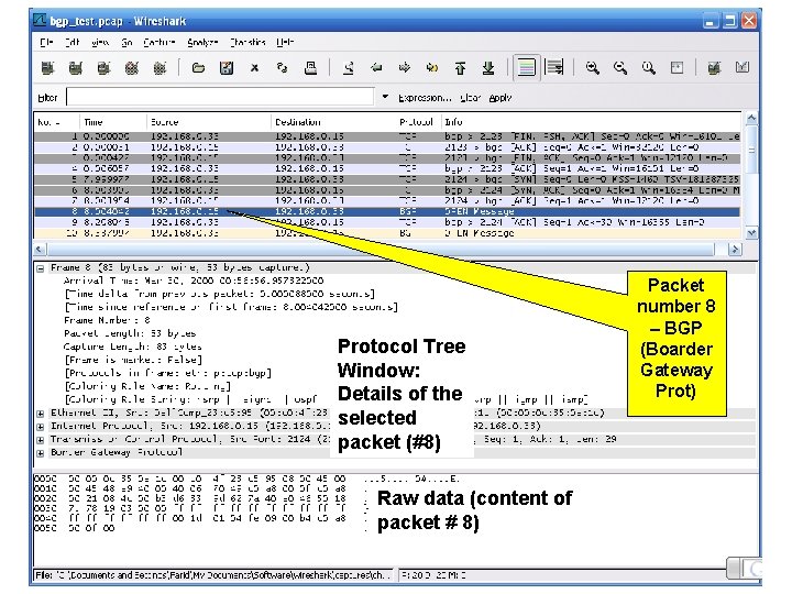 Protocol Tree Window: Details of the selected packet (#8) Raw data (content of packet