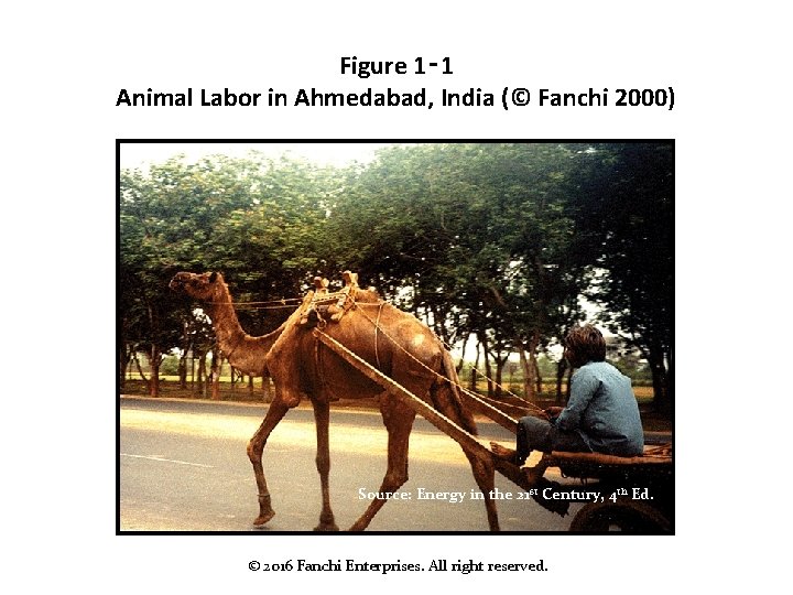 Figure 1‑ 1 Animal Labor in Ahmedabad, India (© Fanchi 2000) Source: Energy in