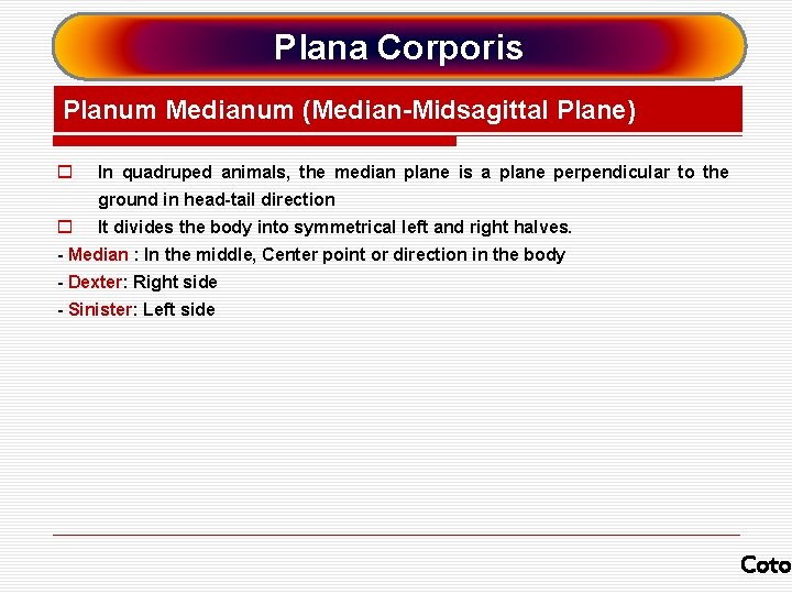 Plana Corporis Planum Medianum (Median-Midsagittal Plane) o In quadruped animals, the median plane is