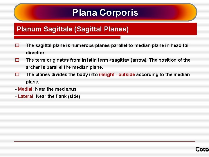 Plana Corporis Planum Sagittale (Sagittal Planes) o The sagittal plane is numerous planes parallel