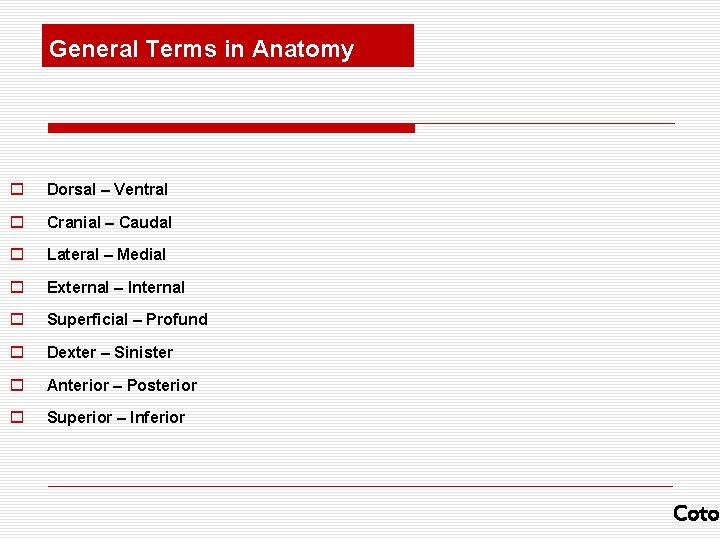 General Terms in Anatomy o Dorsal – Ventral o Cranial – Caudal o Lateral