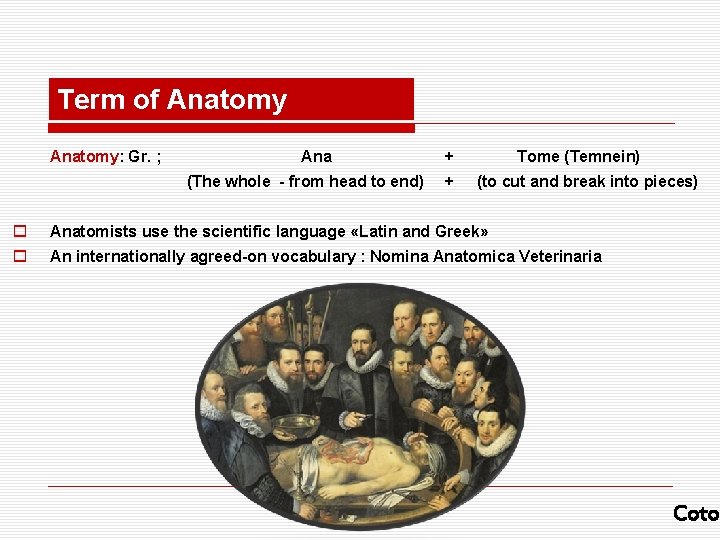 Term of Anatomy: Gr. ; Ana (The whole - from head to end) +