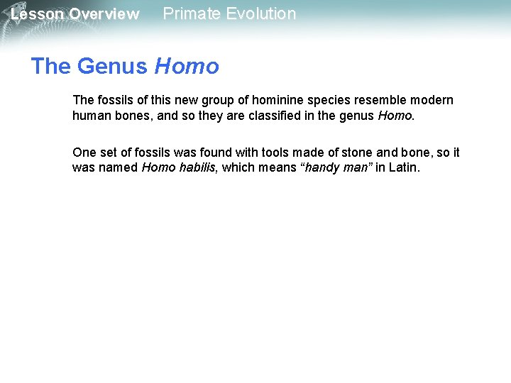 Lesson Overview Primate Evolution The Genus Homo The fossils of this new group of