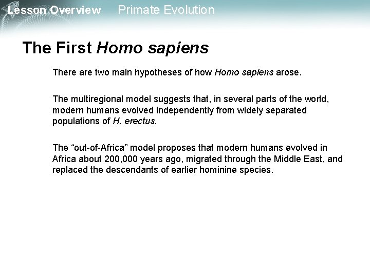 Lesson Overview Primate Evolution The First Homo sapiens There are two main hypotheses of