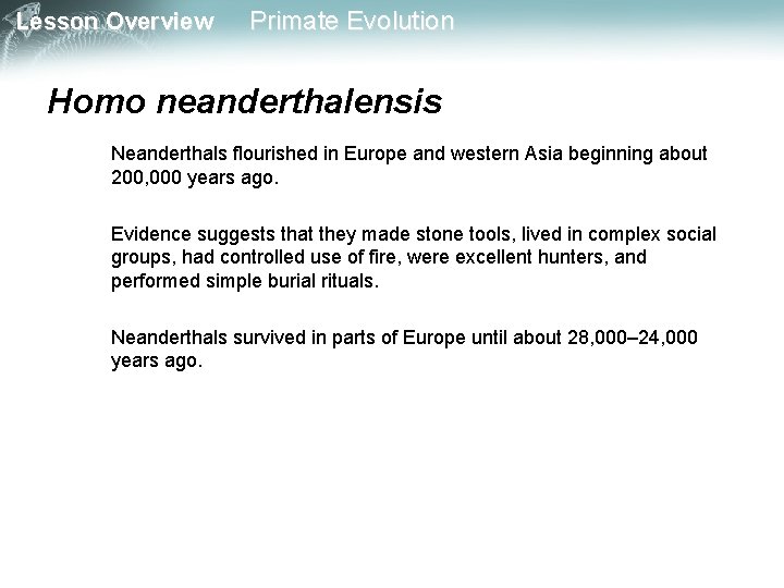 Lesson Overview Primate Evolution Homo neanderthalensis Neanderthals flourished in Europe and western Asia beginning