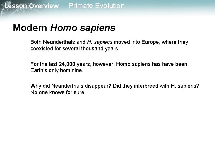 Lesson Overview Primate Evolution Modern Homo sapiens Both Neanderthals and H. sapiens moved into