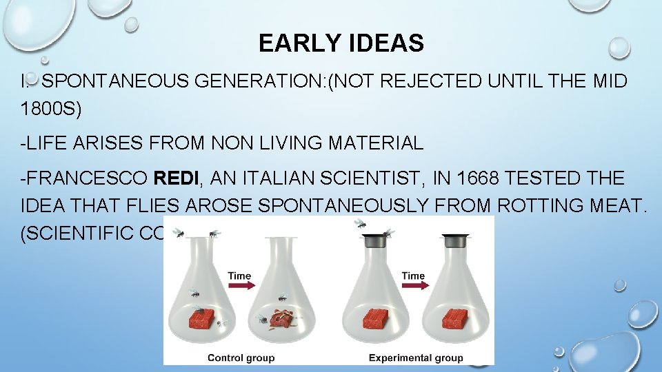 EARLY IDEAS I. SPONTANEOUS GENERATION: (NOT REJECTED UNTIL THE MID 1800 S) -LIFE ARISES