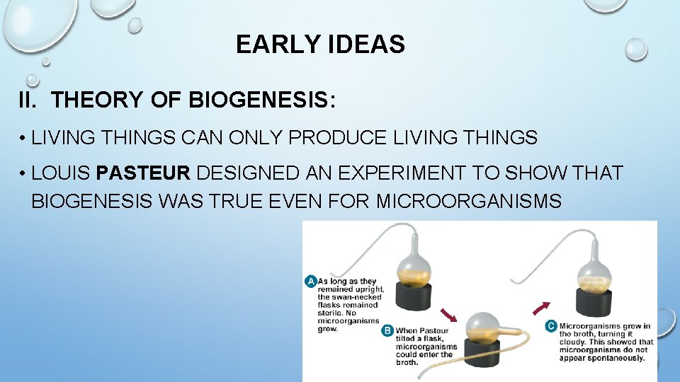 EARLY IDEAS II. THEORY OF BIOGENESIS: • LIVING THINGS CAN ONLY PRODUCE LIVING THINGS