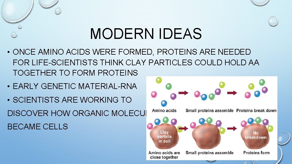 MODERN IDEAS • ONCE AMINO ACIDS WERE FORMED, PROTEINS ARE NEEDED FOR LIFE-SCIENTISTS THINK