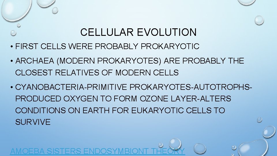 CELLULAR EVOLUTION • FIRST CELLS WERE PROBABLY PROKARYOTIC • ARCHAEA (MODERN PROKARYOTES) ARE PROBABLY