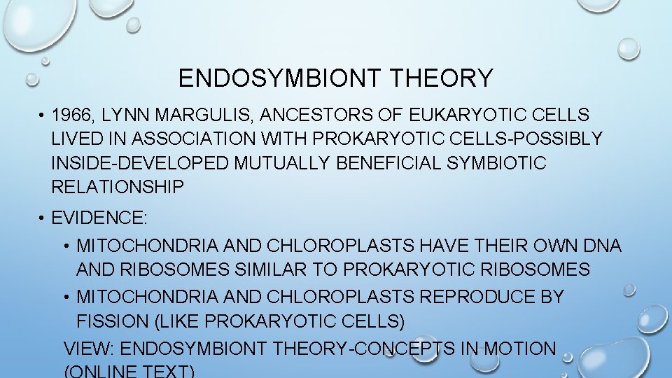 ENDOSYMBIONT THEORY • 1966, LYNN MARGULIS, ANCESTORS OF EUKARYOTIC CELLS LIVED IN ASSOCIATION WITH