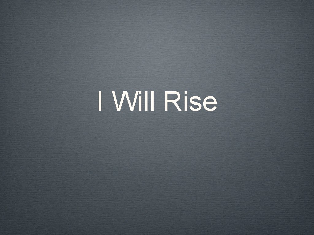 I Will Rise 