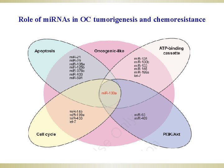 Role of mi. RNAs in OC tumorigenesis and chemoresistance 