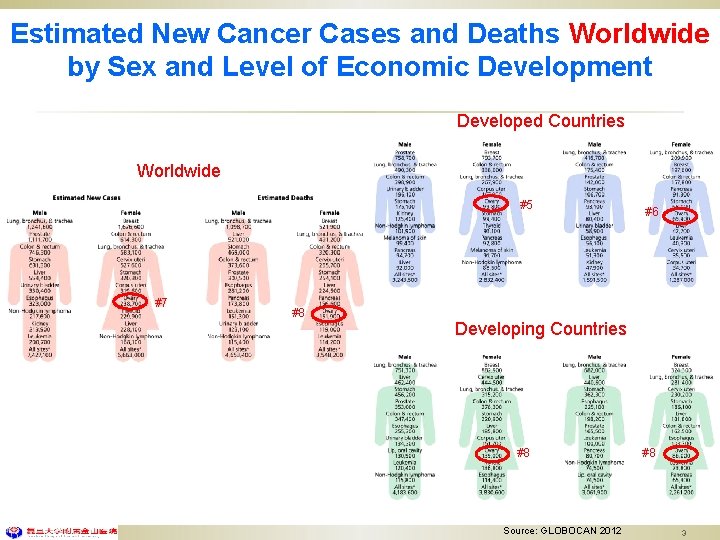 Estimated New Cancer Cases and Deaths Worldwide by Sex and Level of Economic Development