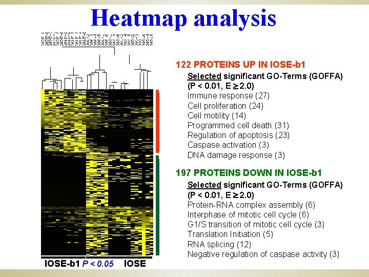 Heatmap analysis 122 PROTEINS UP IN IOSE-b 1 Selected significant GO-Terms (GOFFA) (P <
