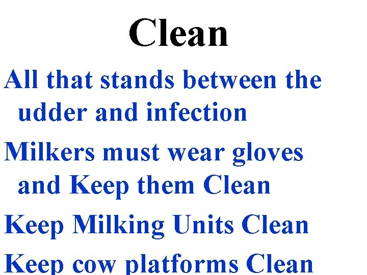 Clean All that stands between the udder and infection Milkers must wear gloves and