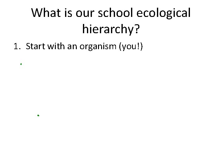 What is our school ecological hierarchy? 1. Start with an organism (you!) 