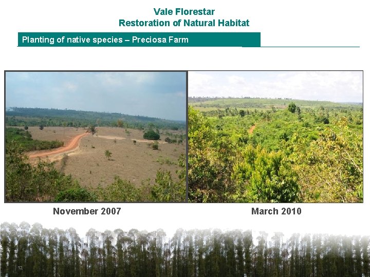 Vale Florestar Restoration of Natural Habitat Planting of native species – Preciosa Farm November