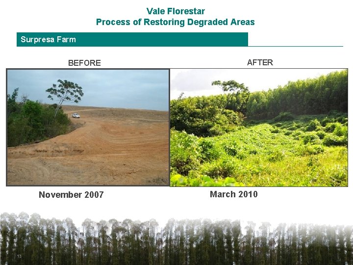 Vale Florestar Process of Restoring Degraded Areas Surpresa Farm BEFORE November 2007 13 AFTER