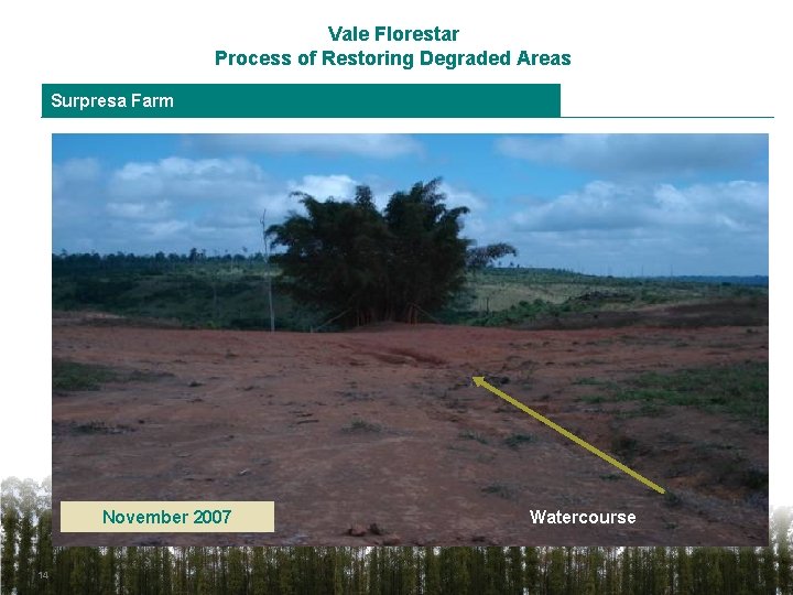 Vale Florestar Process of Restoring Degraded Areas Surpresa Farm November 2007 14 Watercourse 