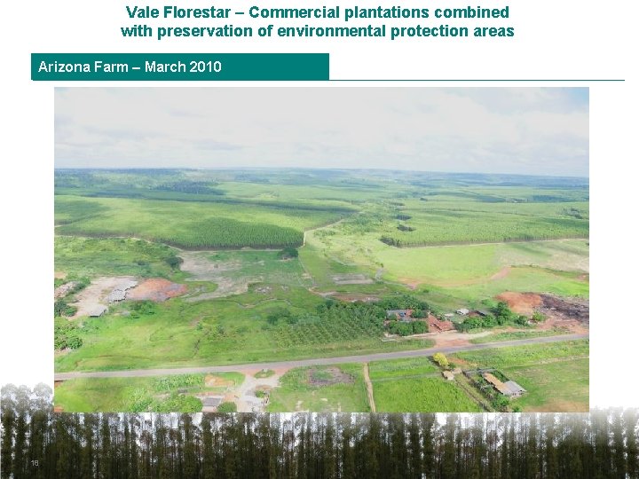 Vale Florestar – Commercial plantations combined with preservation of environmental protection areas Arizona Farm