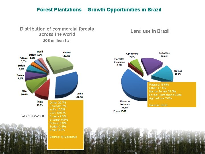 Forest Plantations – Growth Opportunities in Brazil Distribution of commercial forests across the world