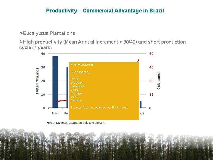 Productivity – Commercial Advantage in Brazil ØEucalyptus Plantations: ØHigh productivity (Mean Annual Increment >