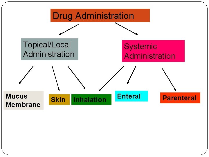 Drug Administration Topical/Local Administration Mucus Membrane Skin Inhalation Systemic Administration Enteral Parenteral 