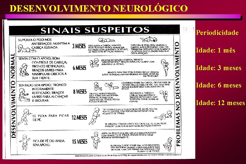 DESENVOLVIMENTO NEUROLÓGICO Periodicidade Idade: 1 mês Idade: 3 meses Idade: 6 meses Idade: 12