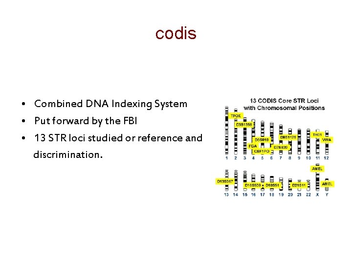 codis • Combined DNA Indexing System • Put forward by the FBI • 13