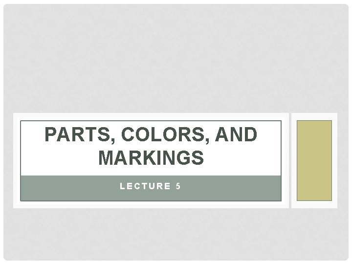 PARTS, COLORS, AND MARKINGS LECTURE 5 