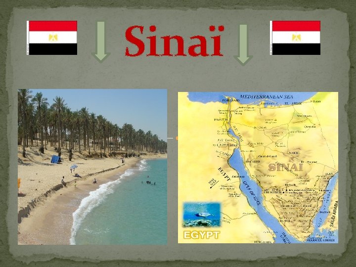 Sinaï 
