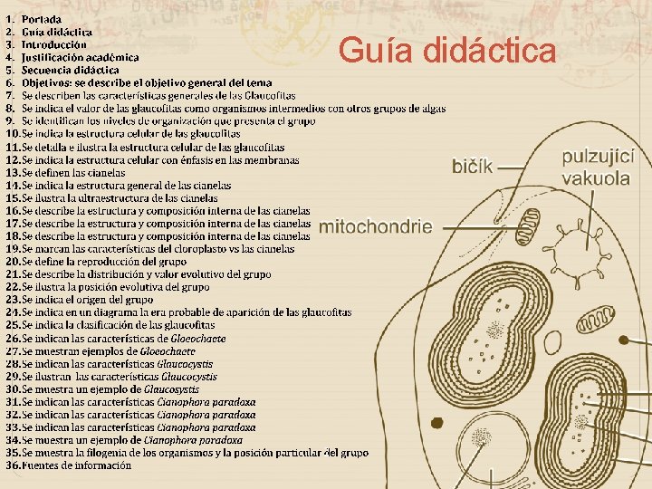 Guía didáctica 2 