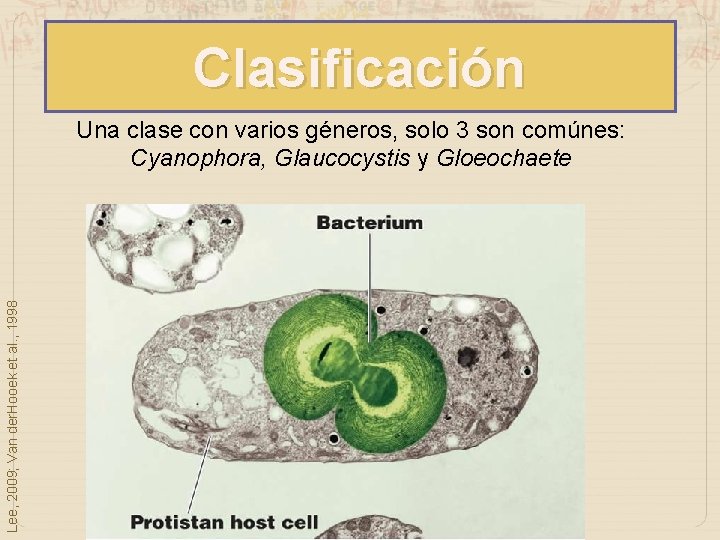 Clasificación Lee, 2009; Van der. Hooek et al. , 1998 Una clase con varios