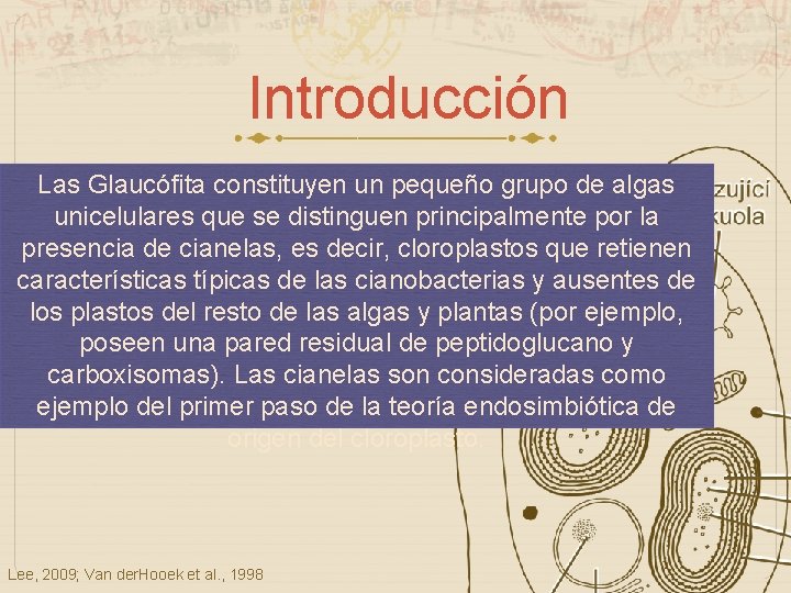 Introducción Las Glaucófita constituyen un pequeño grupo de algas unicelulares que se distinguen principalmente