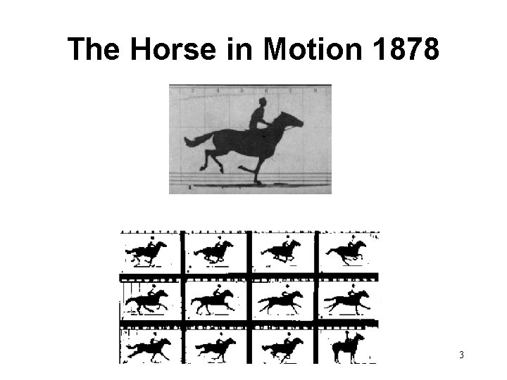The Horse in Motion 1878 3 