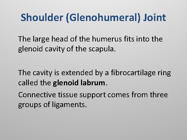 Shoulder (Glenohumeral) Joint The large head of the humerus fits into the glenoid cavity