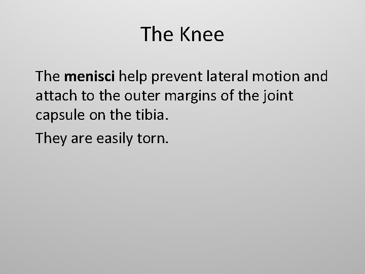 The Knee The menisci help prevent lateral motion and attach to the outer margins