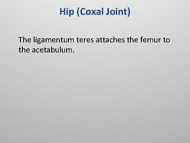 Hip (Coxal Joint) The ligamentum teres attaches the femur to the acetabulum. 