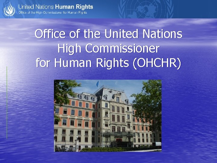 Office of the United Nations High Commissioner for