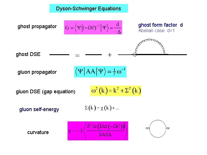 Dyson-Schwinger Equations ghost propagator ghost DSE gluon propagator gluon DSE (gap equation) gluon self-energy