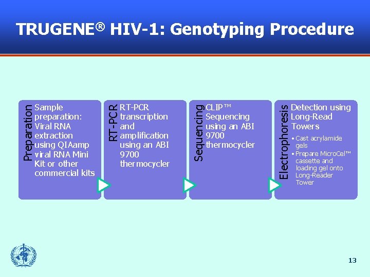 CLIP™ Sequencing using an ABI 9700 thermocycler Electrophoresis RT-PCR transcription and amplification using an
