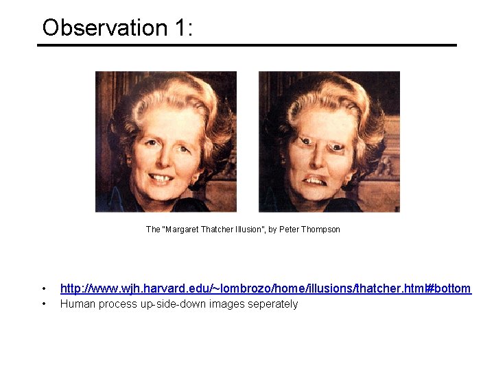 Observation 1: The “Margaret Thatcher Illusion”, by Peter Thompson • http: //www. wjh. harvard.